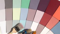 Gama de colores de pared